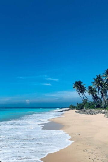 playa de sri lanka en agosto